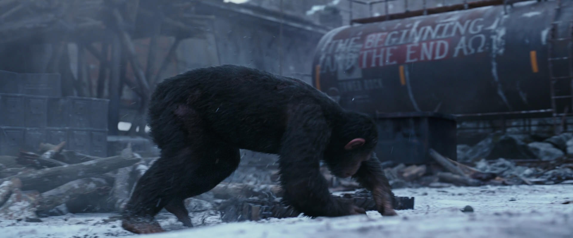 War for the Planet of the Apes (2017) movie still 14353