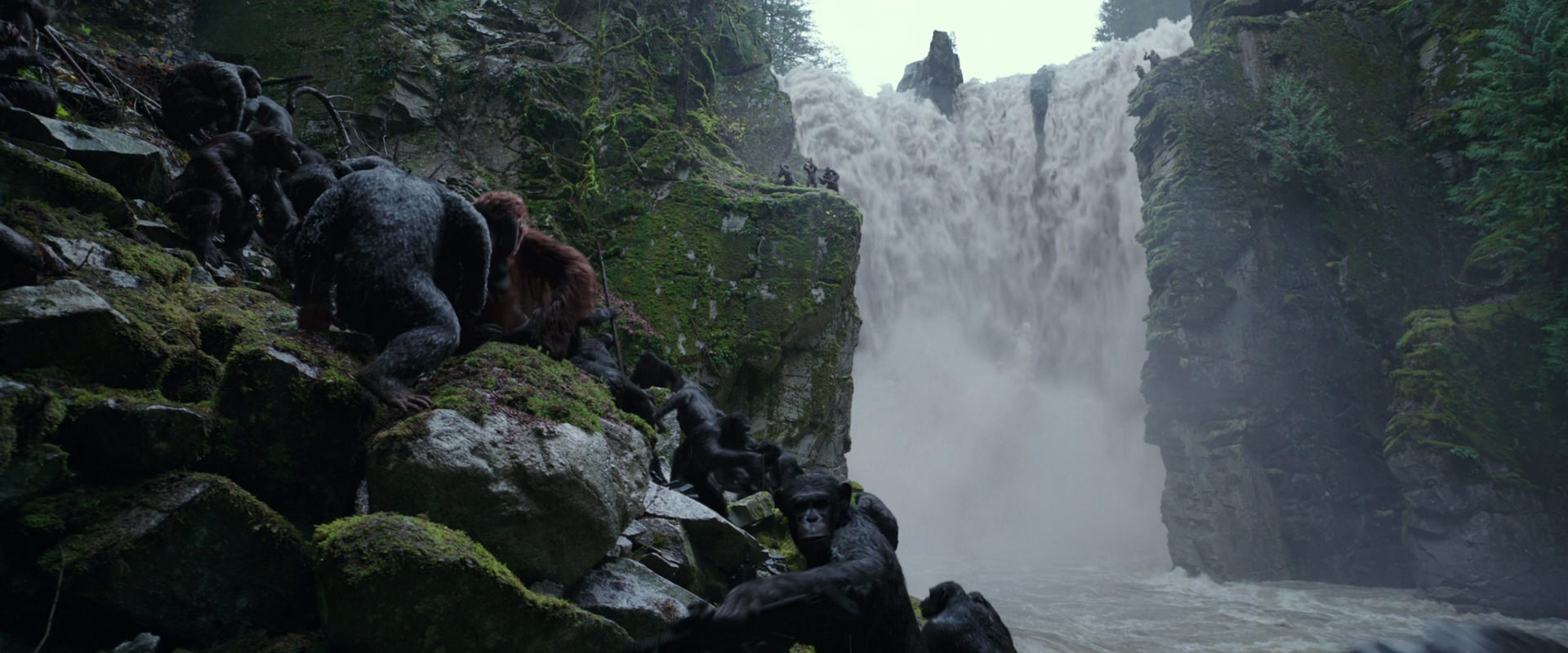 War for the Planet of the Apes (2017) screencap 1437