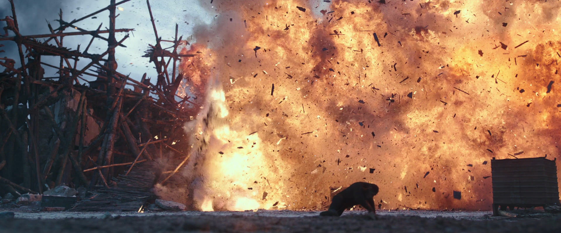 War for the Planet of the Apes (2017) screencap 14370