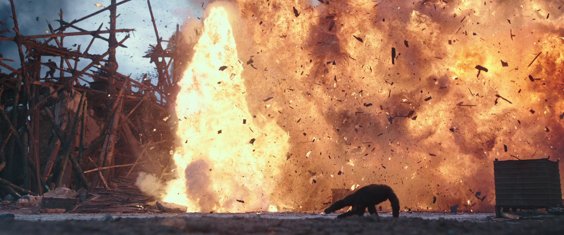 War for the Planet of the Apes (2017) movie still 14371