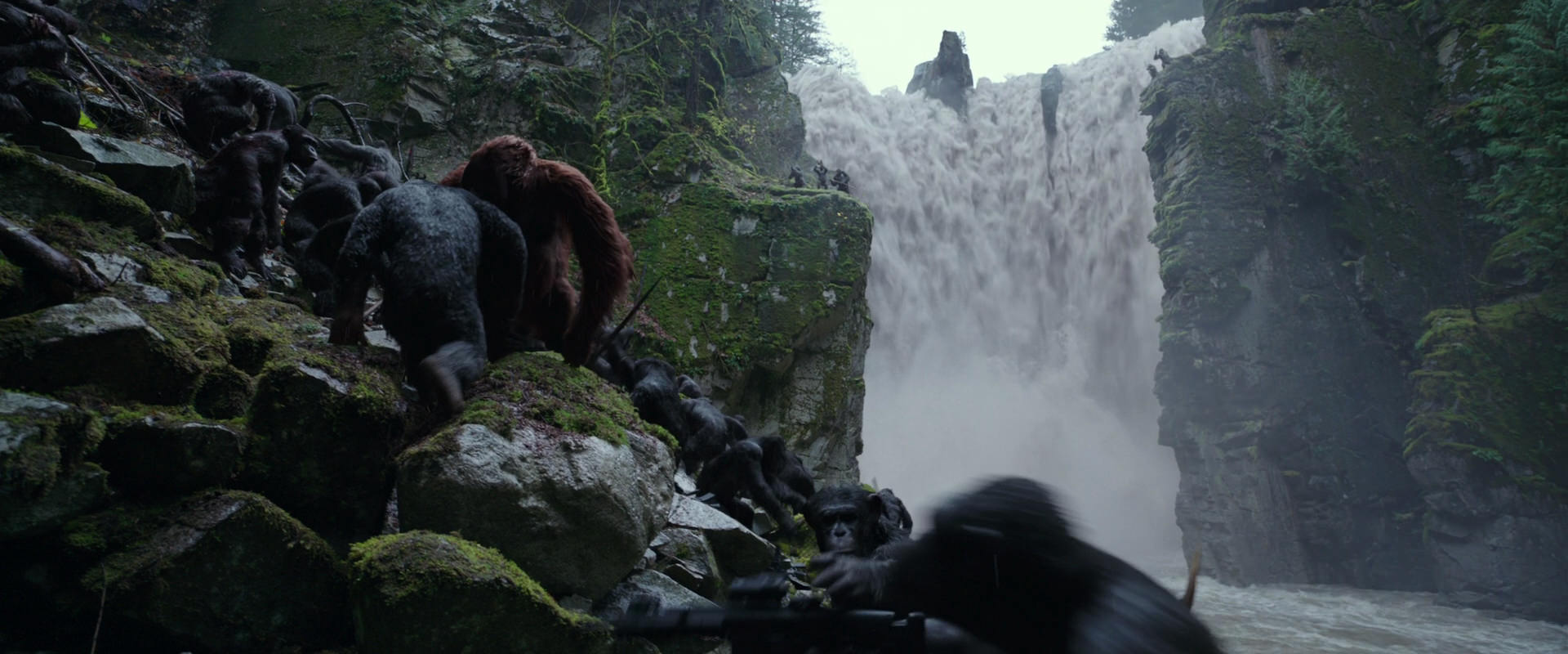 War for the Planet of the Apes (2017) movie still 1438