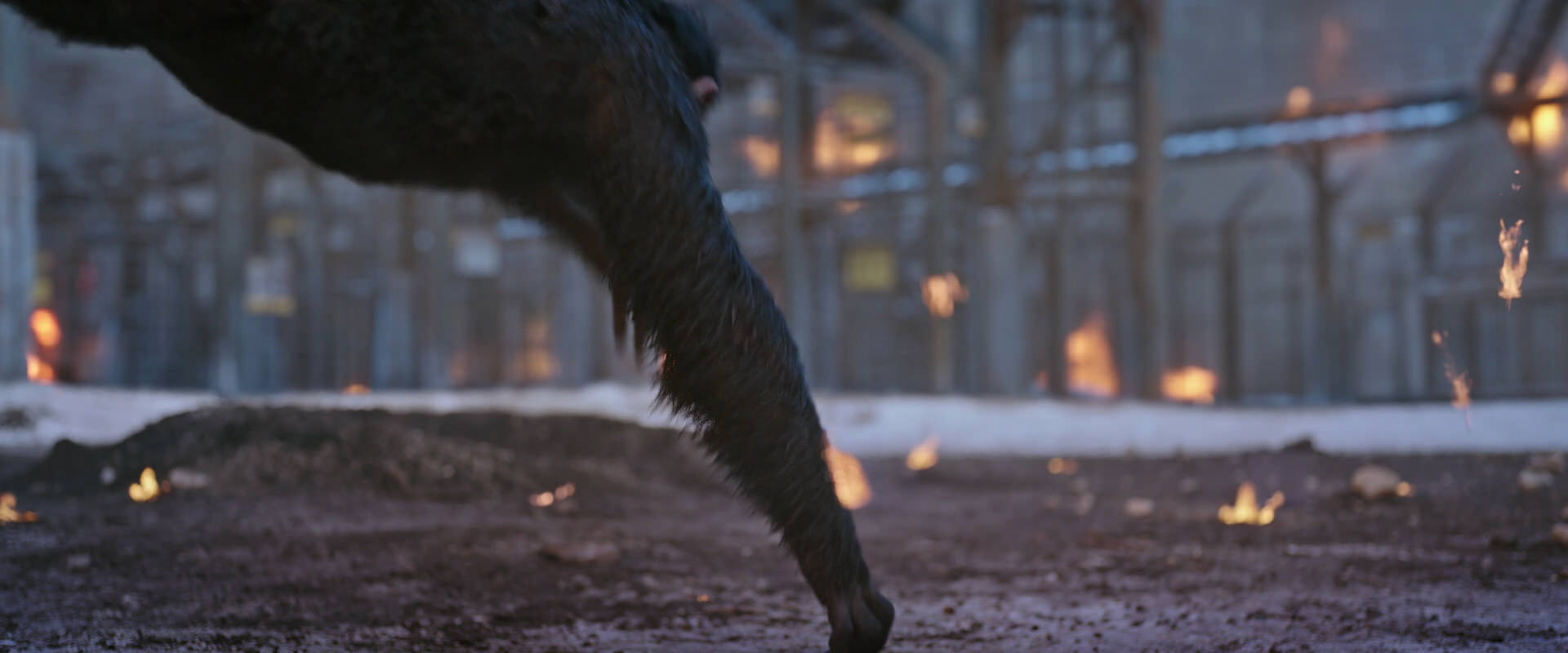 War for the Planet of the Apes (2017) movie still 14380