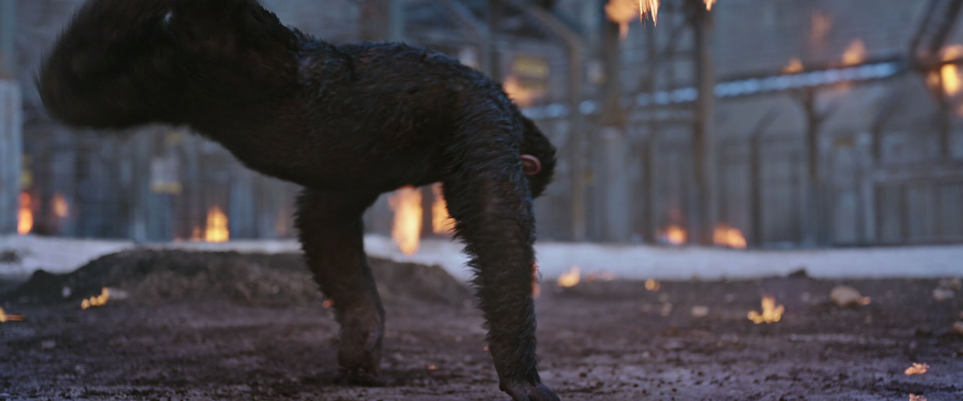 War for the Planet of the Apes (2017) HD screenshot 14381