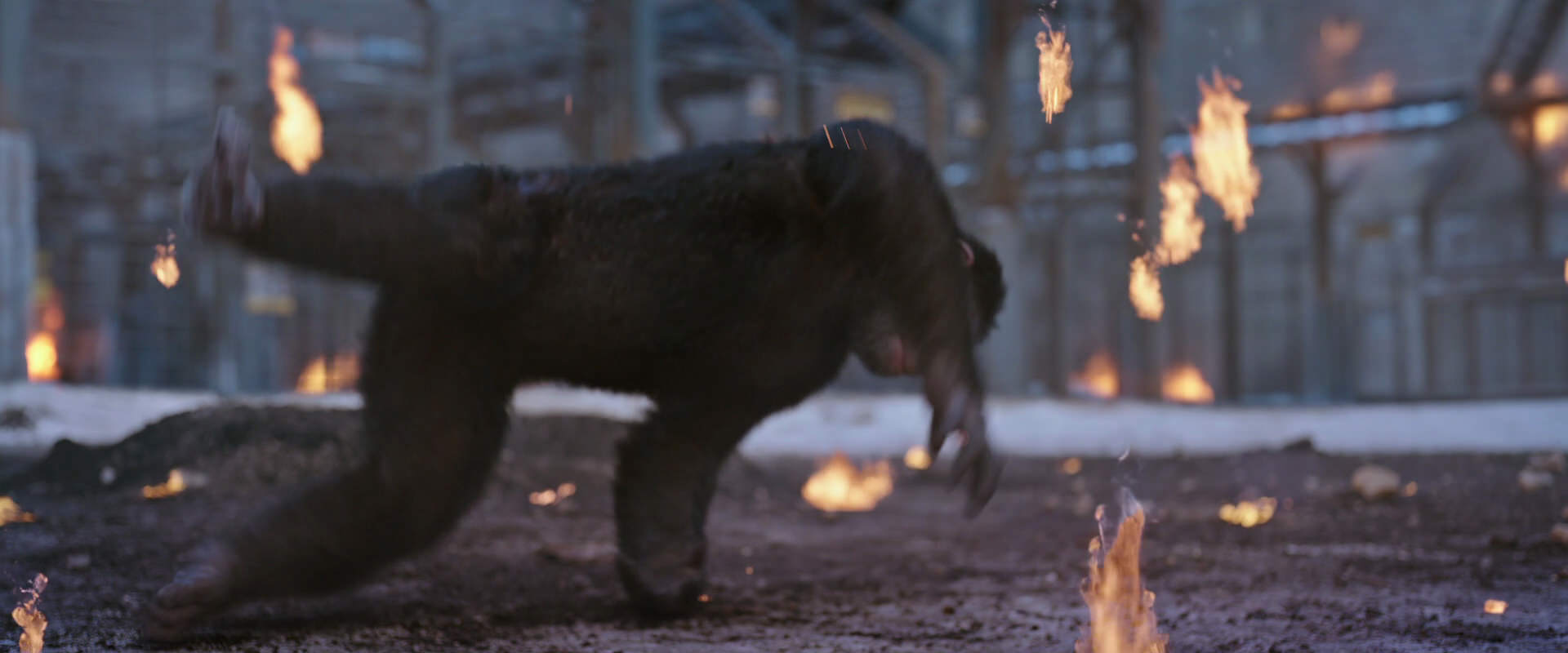War for the Planet of the Apes (2017) screencap 14382