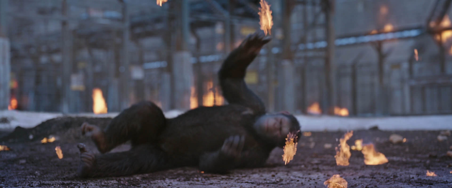 War for the Planet of the Apes (2017) movie still 14383