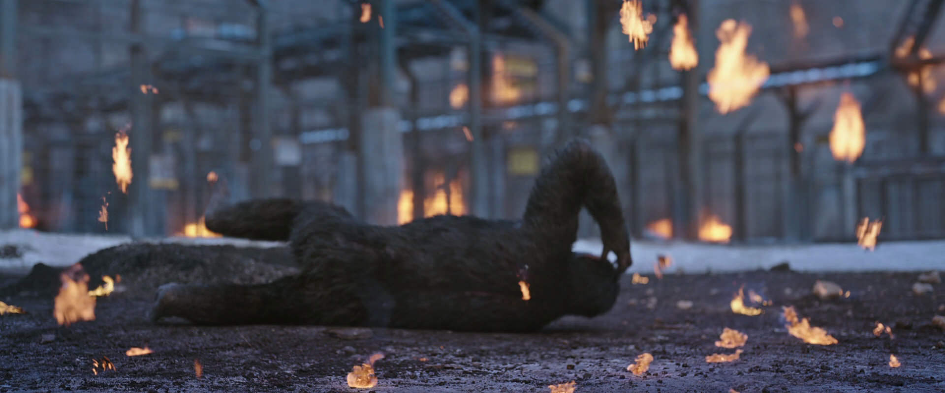 War for the Planet of the Apes (2017) screencap 14385