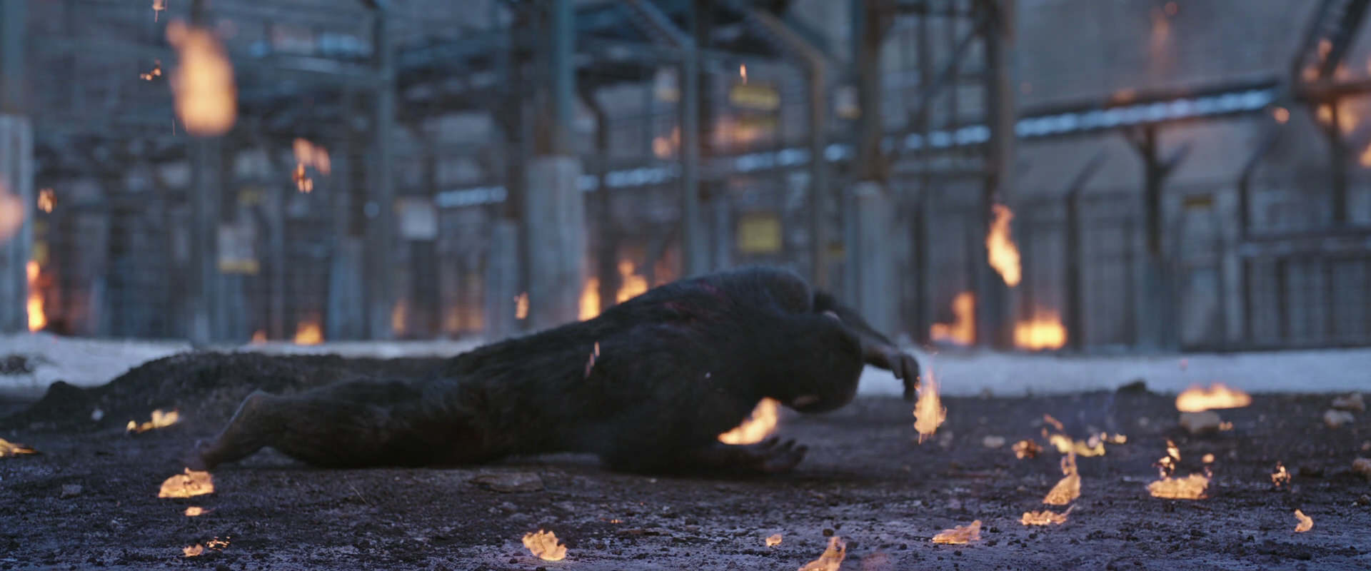 War for the Planet of the Apes (2017) movie still 14386