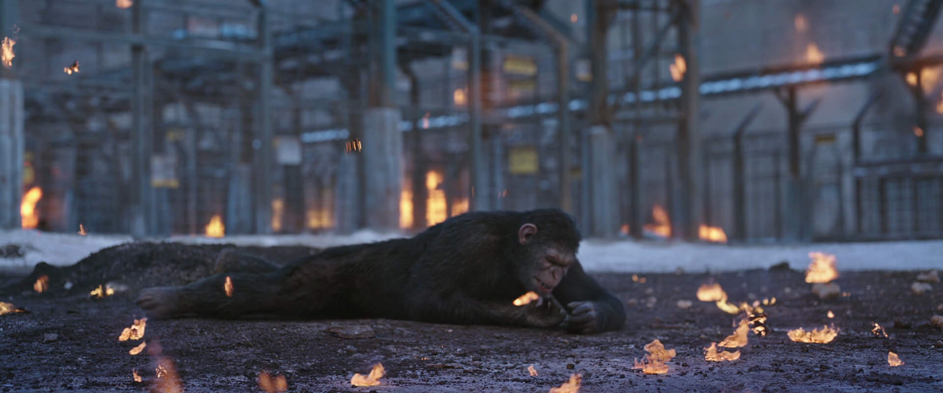 War for the Planet of the Apes (2017) HD screenshot 14387