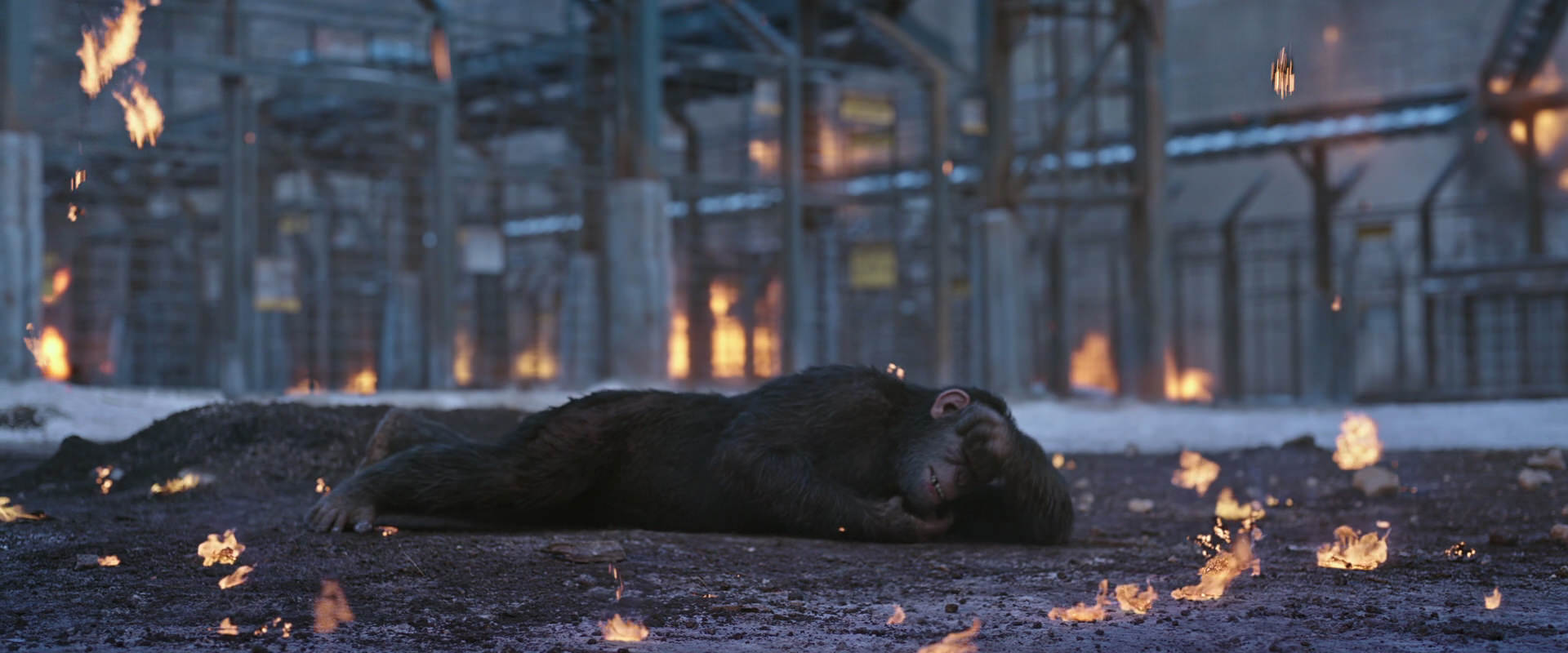 War for the Planet of the Apes (2017) screencap 14388