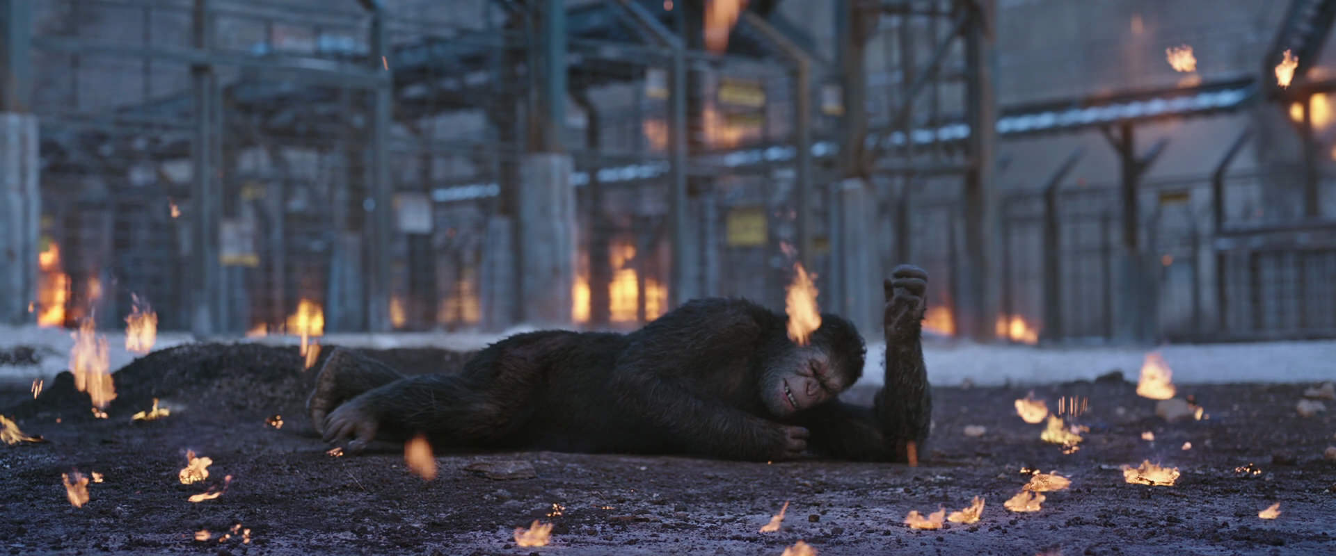War for the Planet of the Apes (2017) movie still 14389