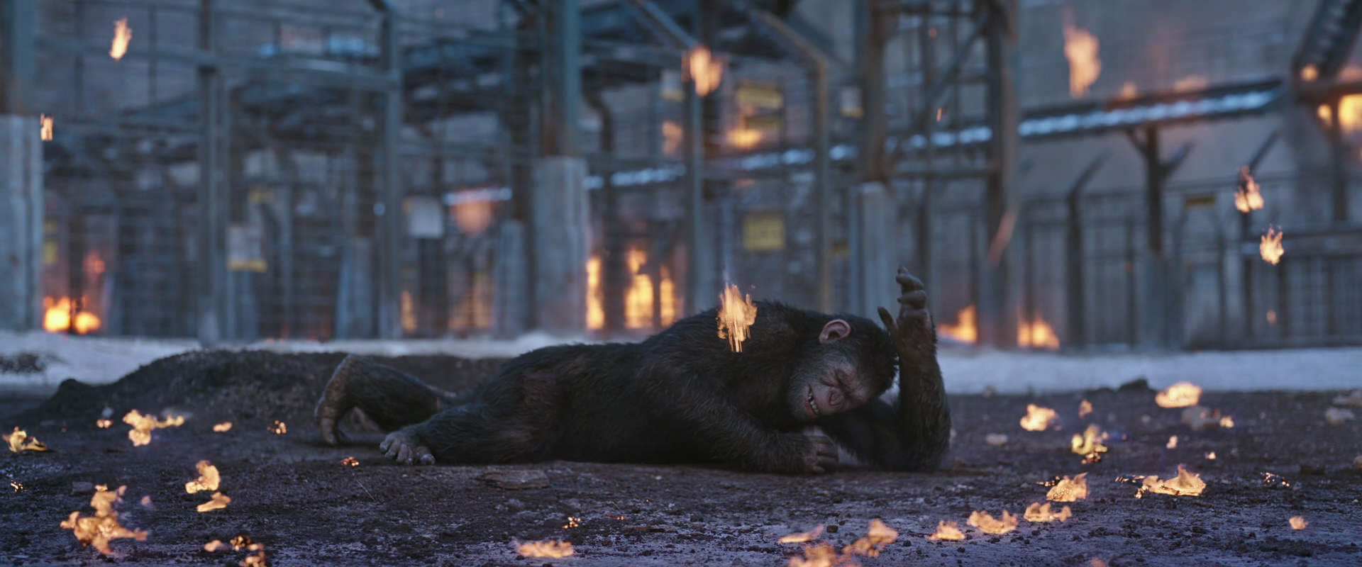 War for the Planet of the Apes (2017) HD screenshot 14390