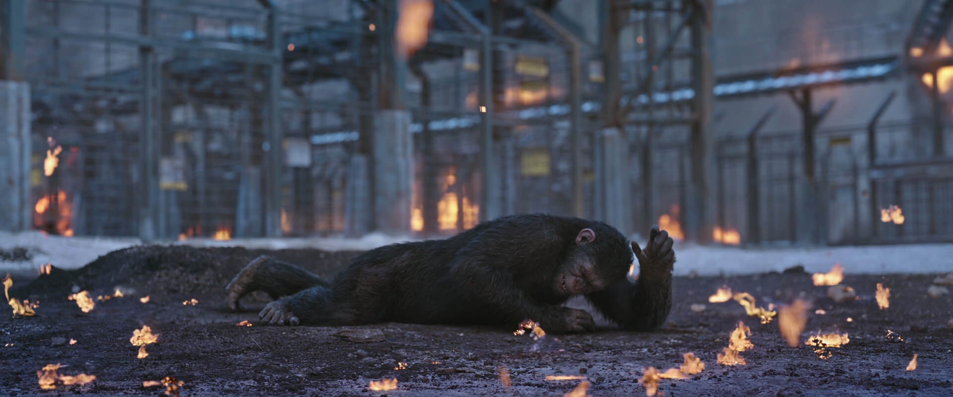 War for the Planet of the Apes (2017) screencap 14391