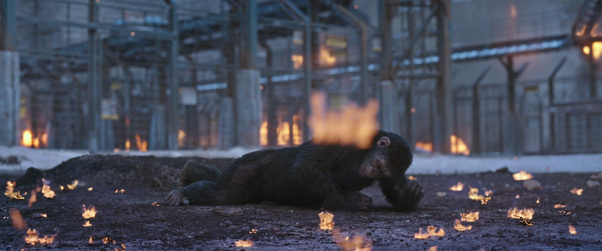 War for the Planet of the Apes (2017) HD screenshot 14393
