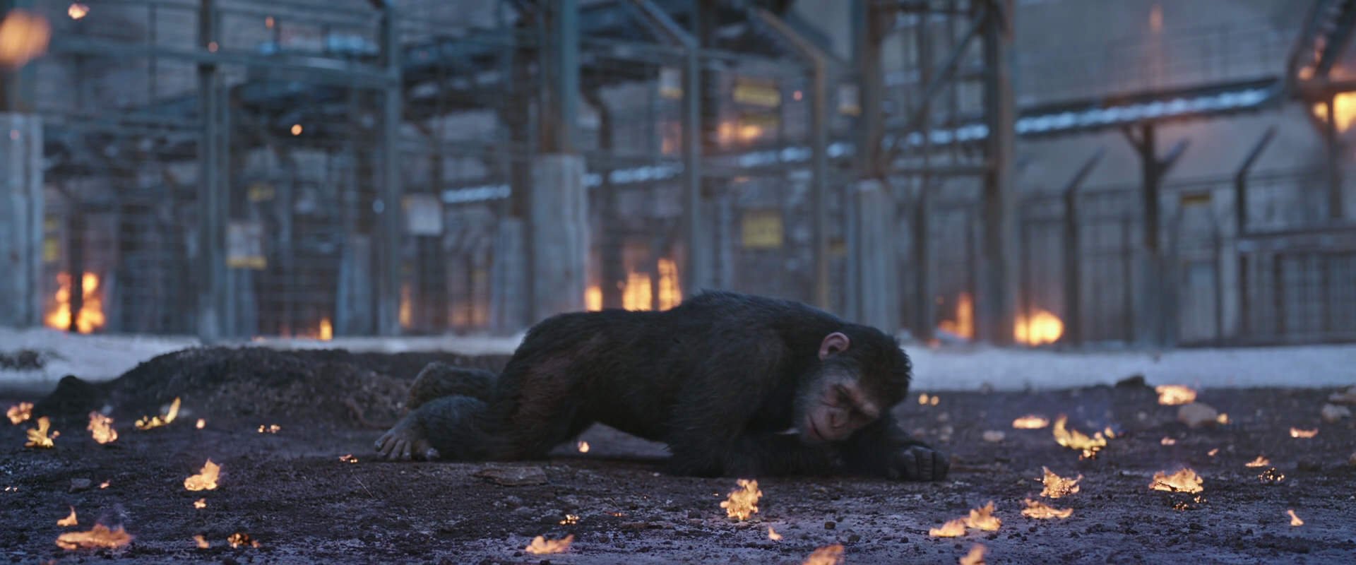 War for the Planet of the Apes (2017) screencap 14394