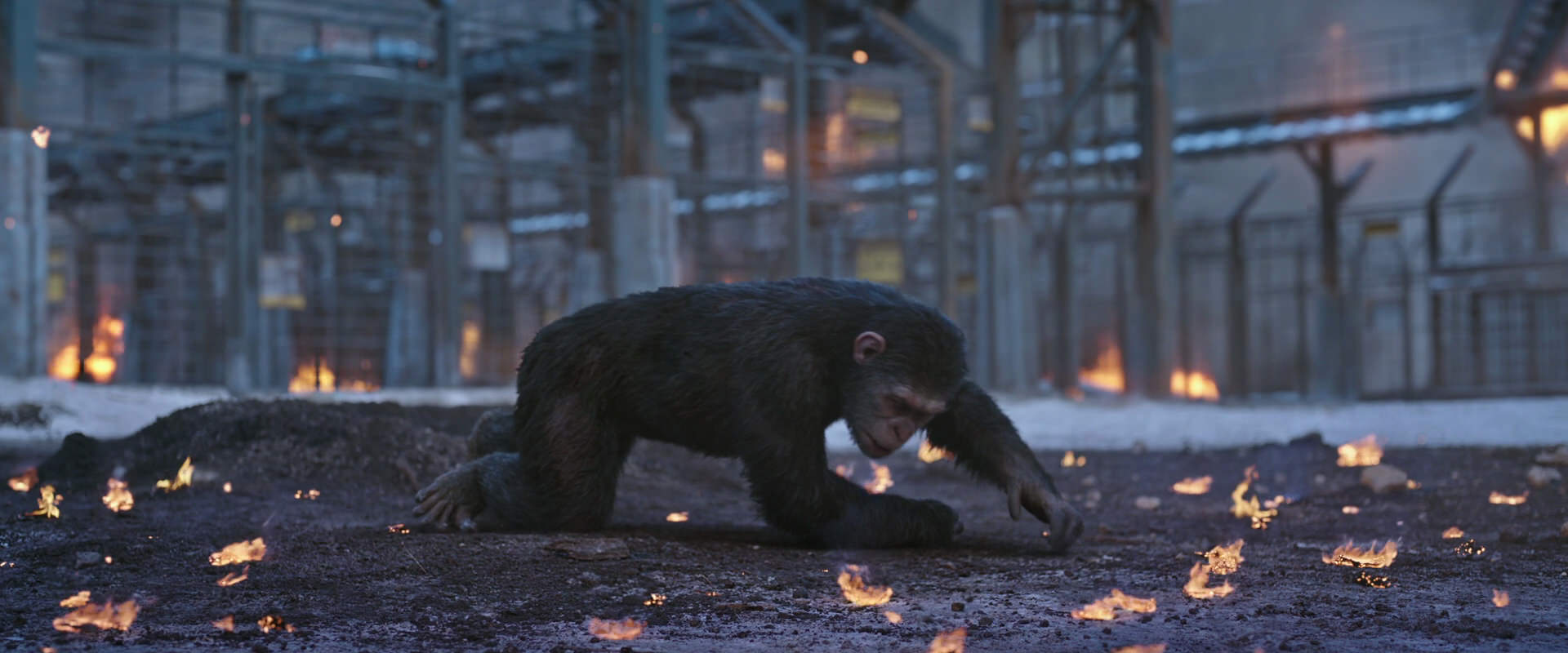 War for the Planet of the Apes (2017) movie still 14395