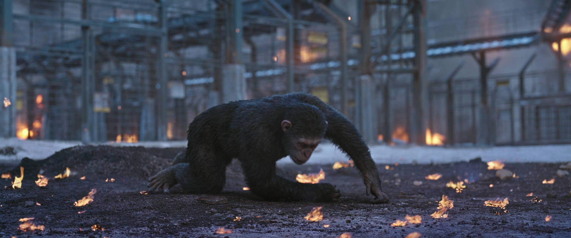 War for the Planet of the Apes (2017) HD screenshot 14396