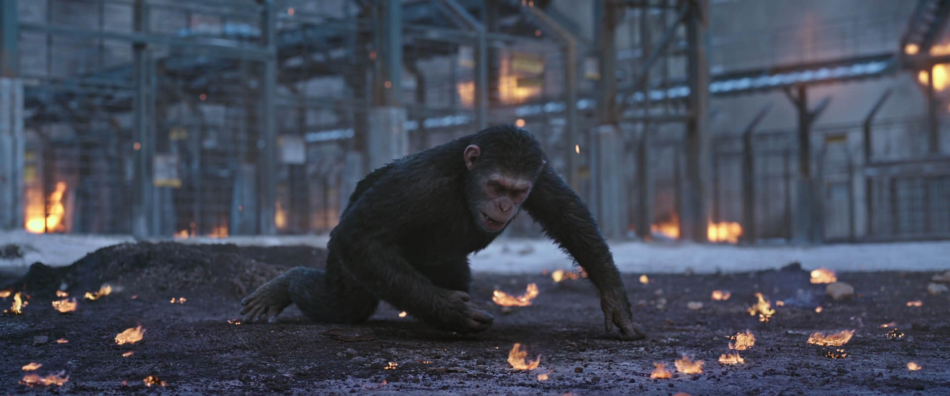 War for the Planet of the Apes (2017) screencap 14397