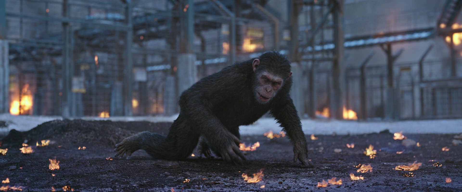 War for the Planet of the Apes (2017) movie still 14398