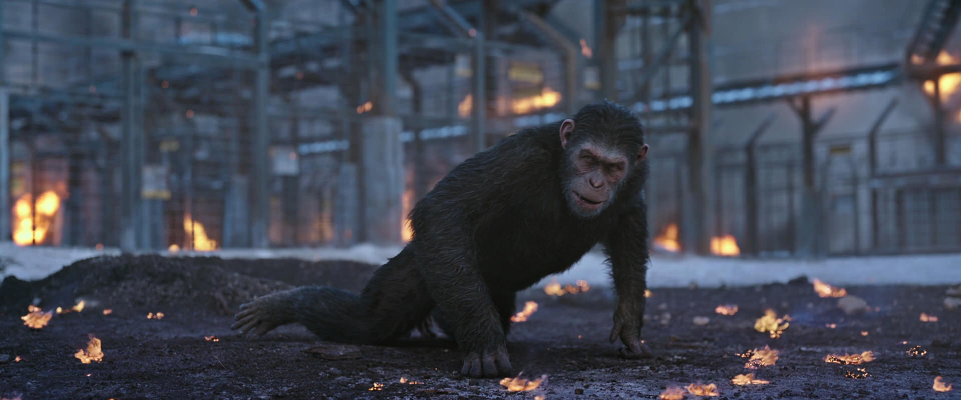 War for the Planet of the Apes (2017) HD screenshot 14399
