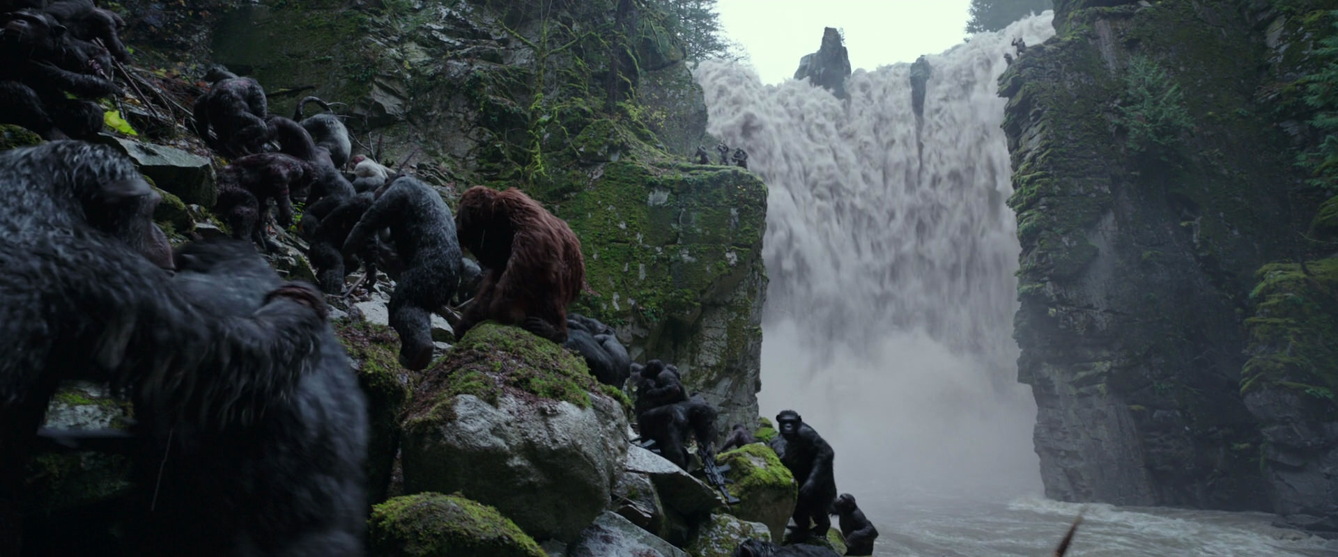 War for the Planet of the Apes (2017) screencap 1440