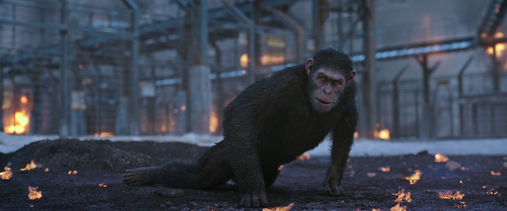 War for the Planet of the Apes (2017) screencap 14400