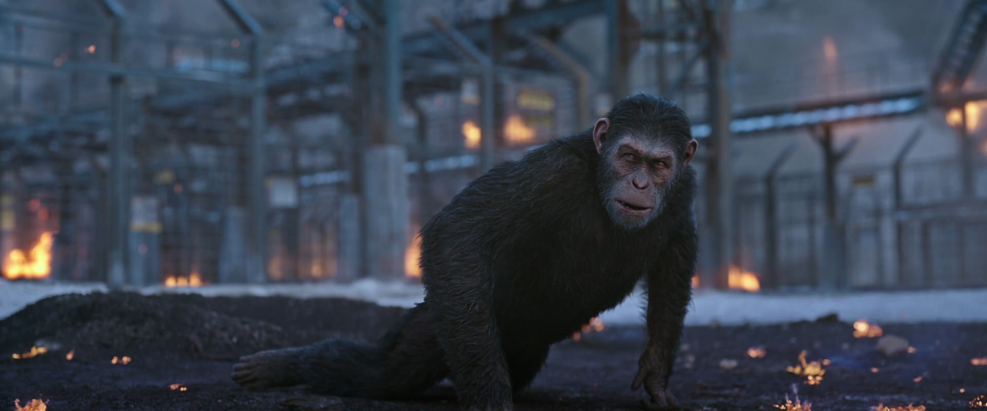 War for the Planet of the Apes (2017) movie still 14401
