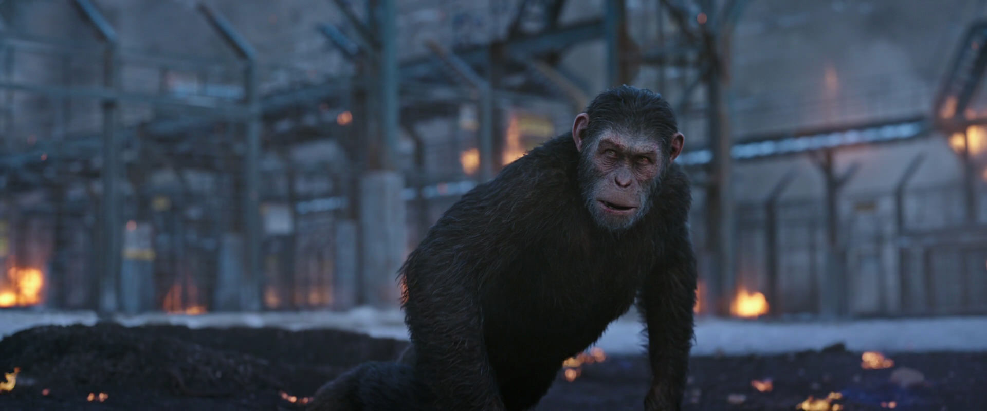 War for the Planet of the Apes (2017) HD screenshot 14402