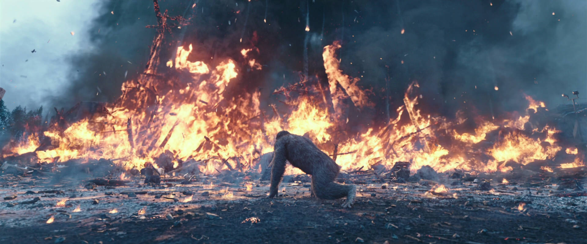 War for the Planet of the Apes (2017) screencap 14403