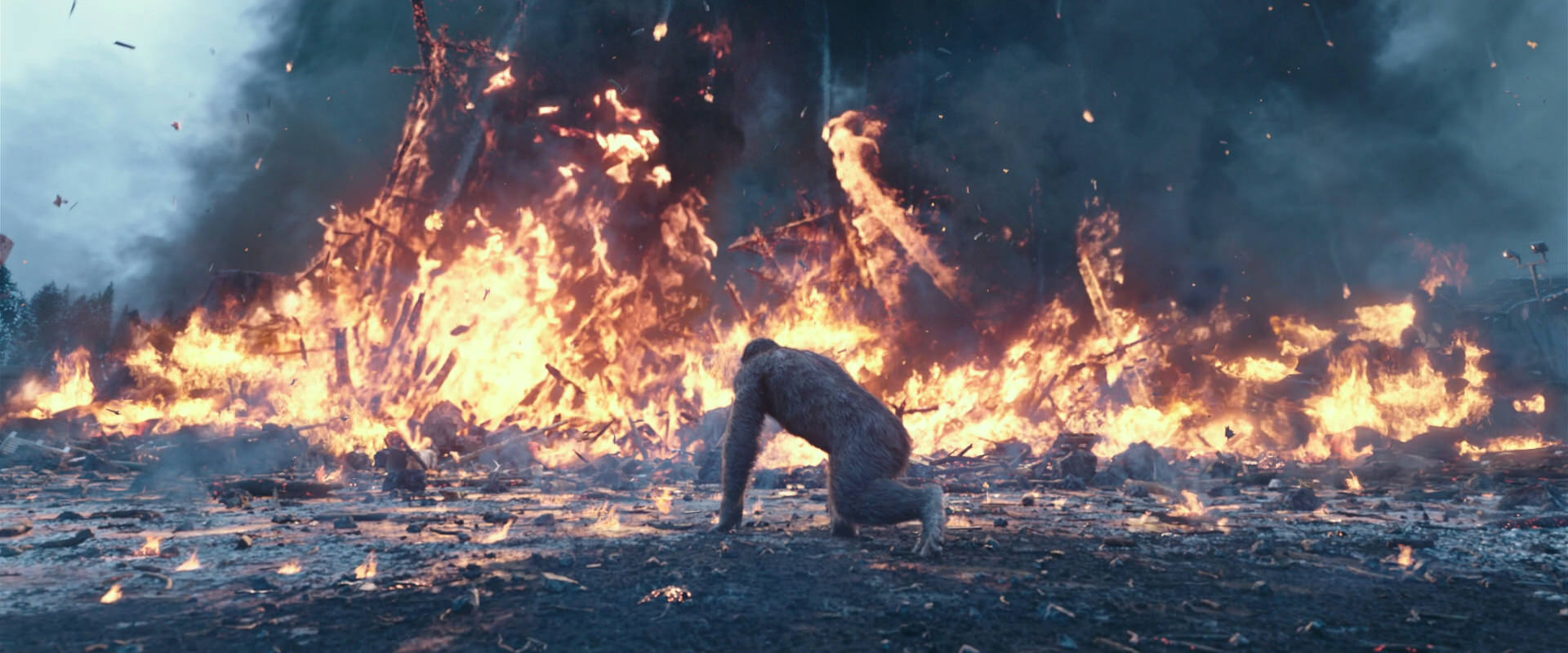 War for the Planet of the Apes (2017) movie still 14404