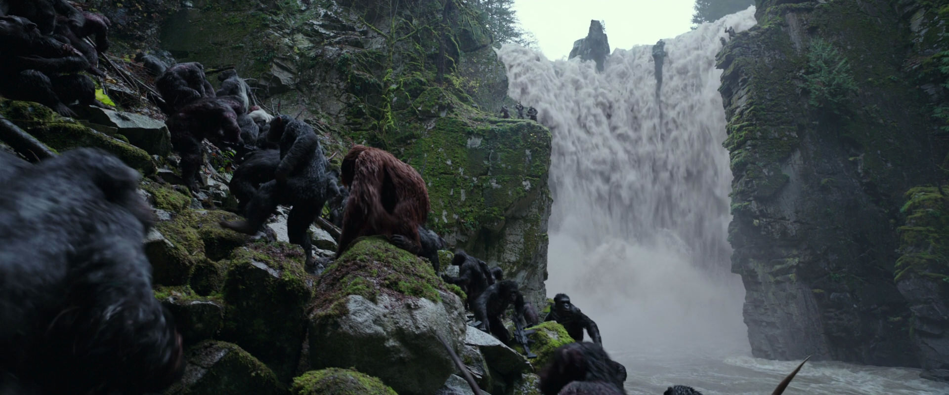 War for the Planet of the Apes (2017) movie still 1441