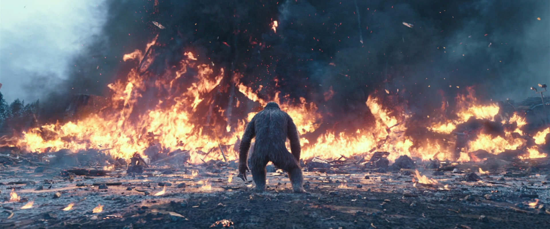 War for the Planet of the Apes (2017) movie still 14410