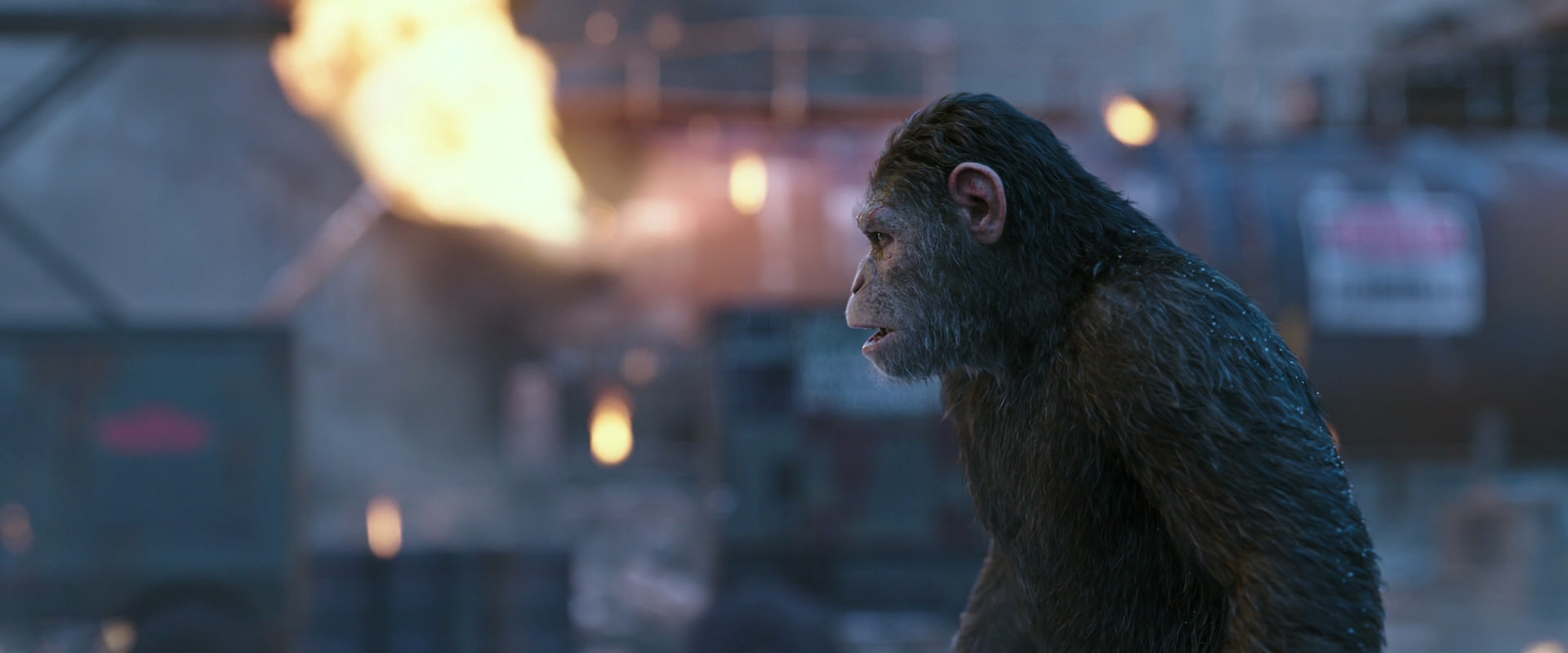 War for the Planet of the Apes (2017) screencap 14415