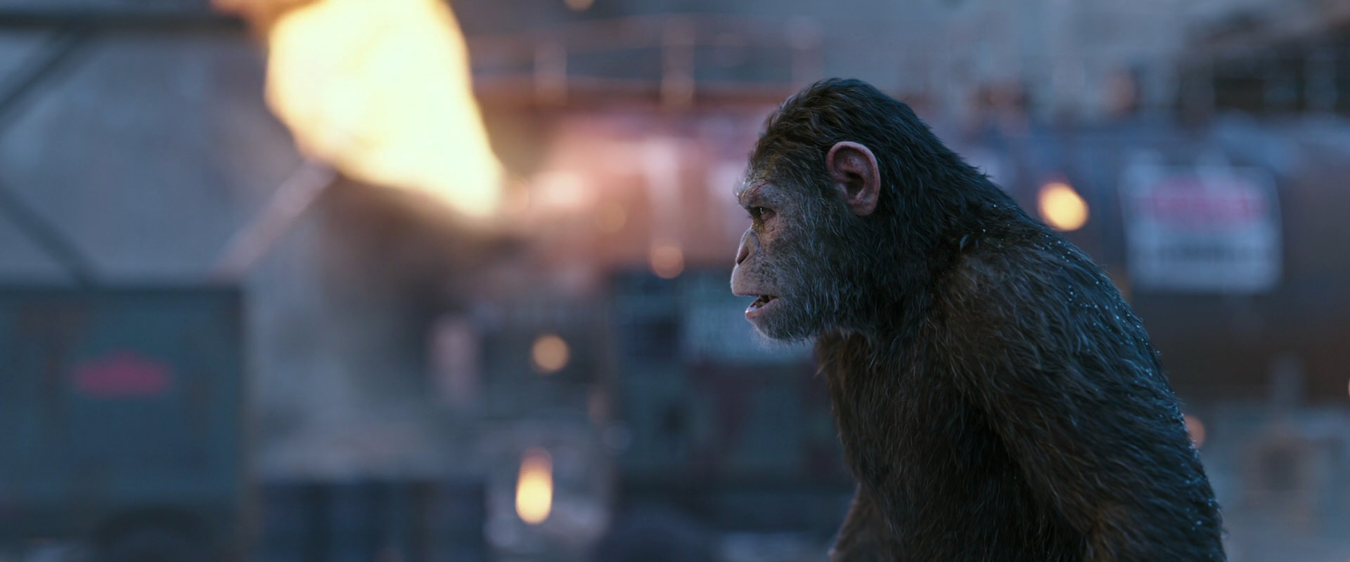 War for the Planet of the Apes (2017) movie still 14416
