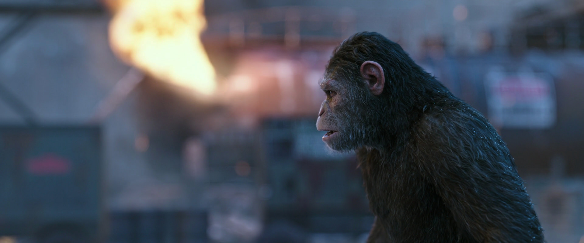 War for the Planet of the Apes (2017) HD screenshot 14417