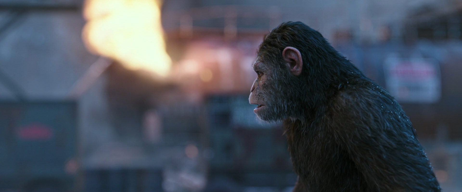 War for the Planet of the Apes (2017) screencap 14418