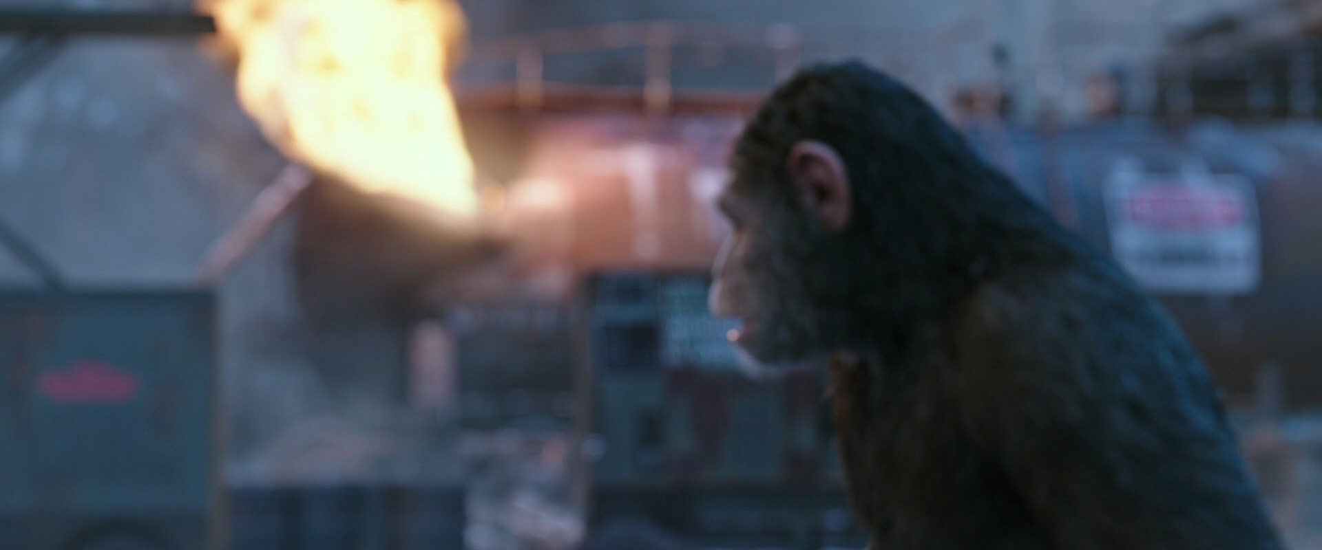 War for the Planet of the Apes (2017) movie still 14419