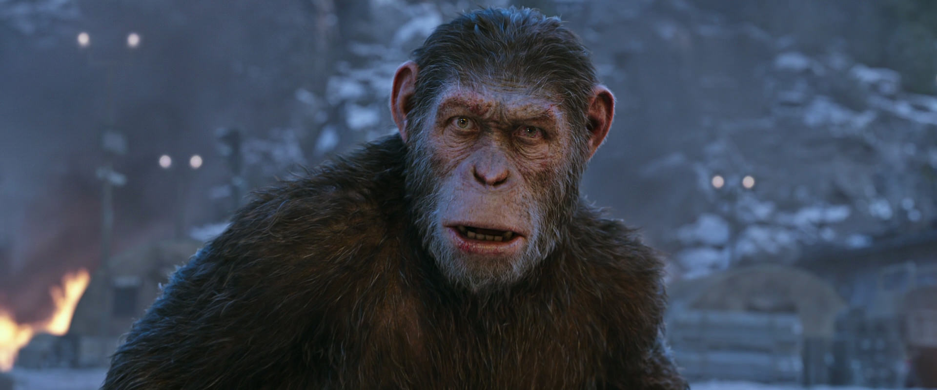 War for the Planet of the Apes (2017) screencap 14424