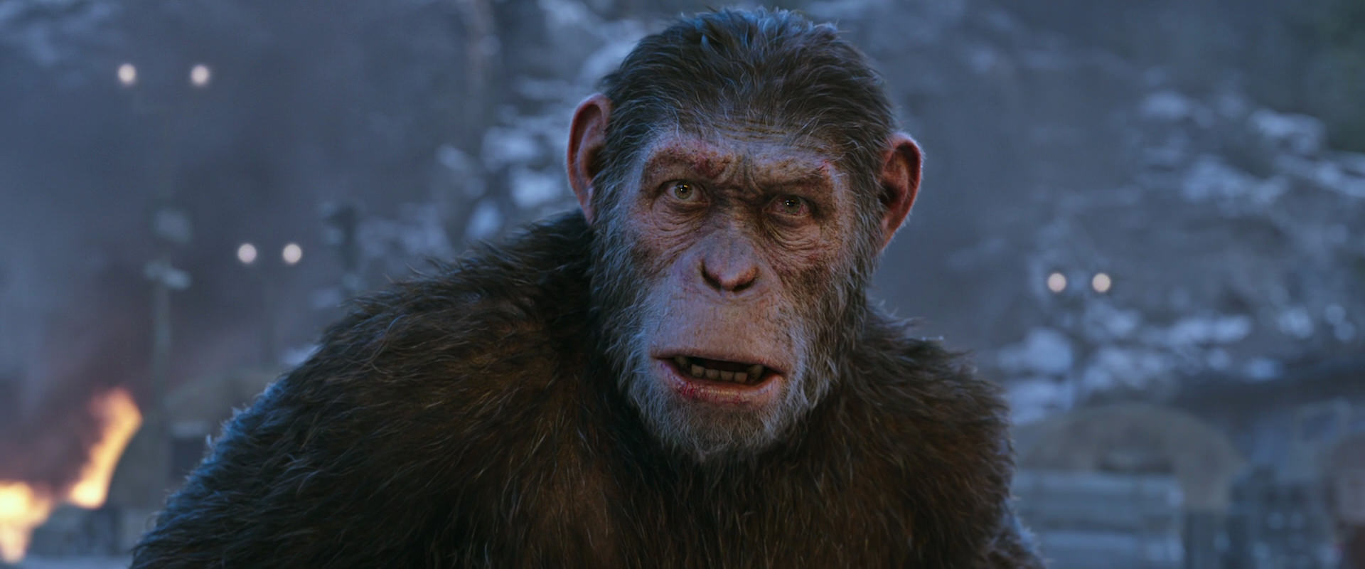 War for the Planet of the Apes (2017) movie still 14425