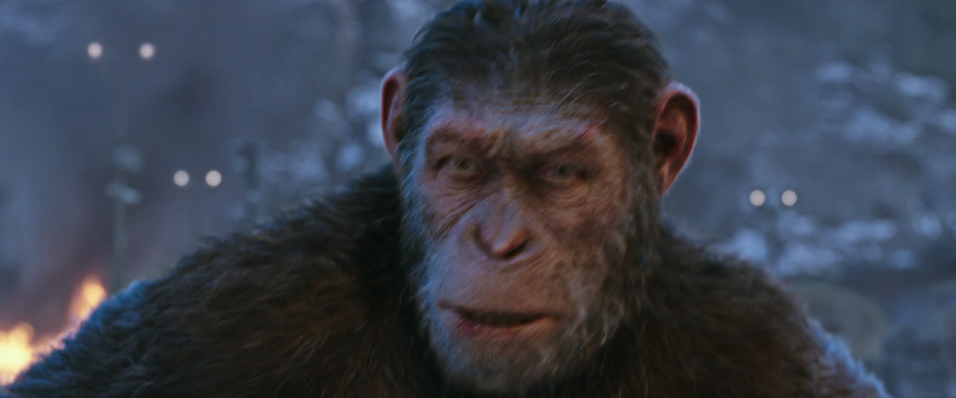 War for the Planet of the Apes (2017) movie still 14428