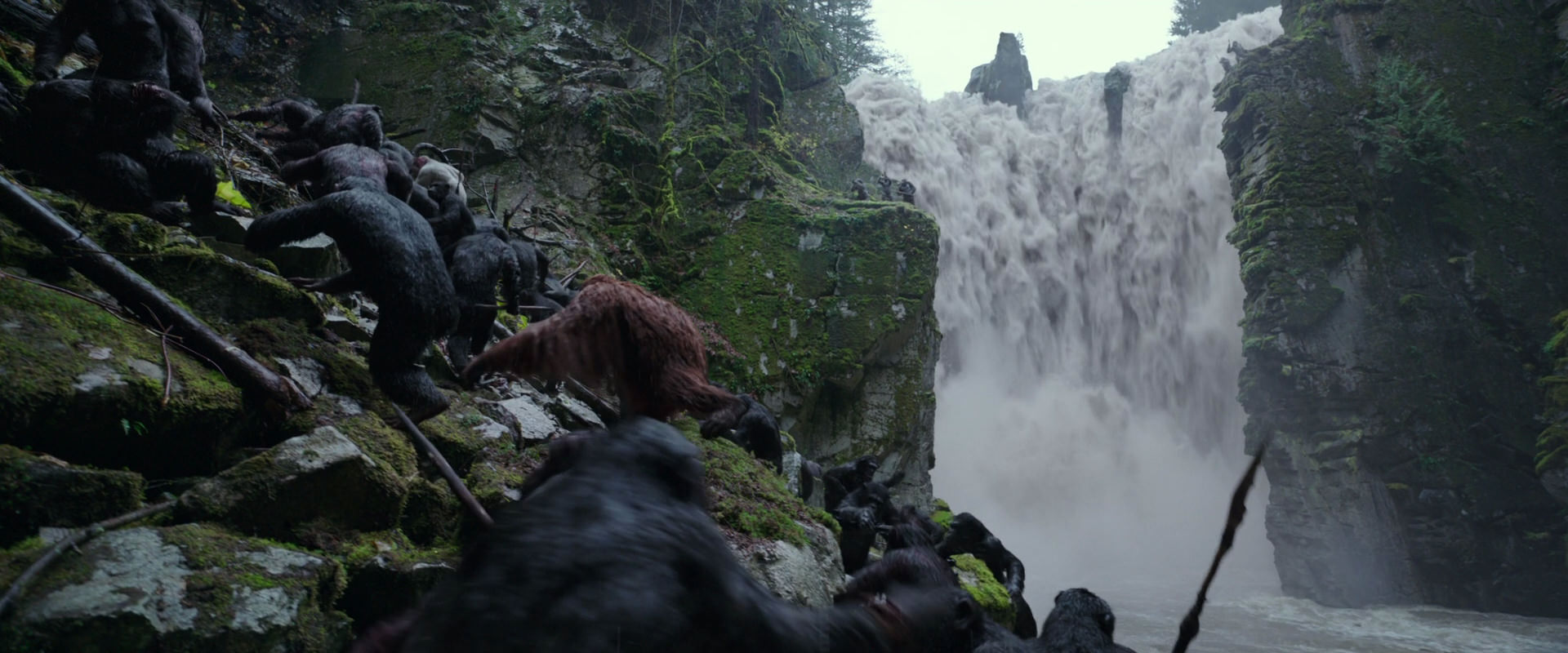 War for the Planet of the Apes (2017) screencap 1443