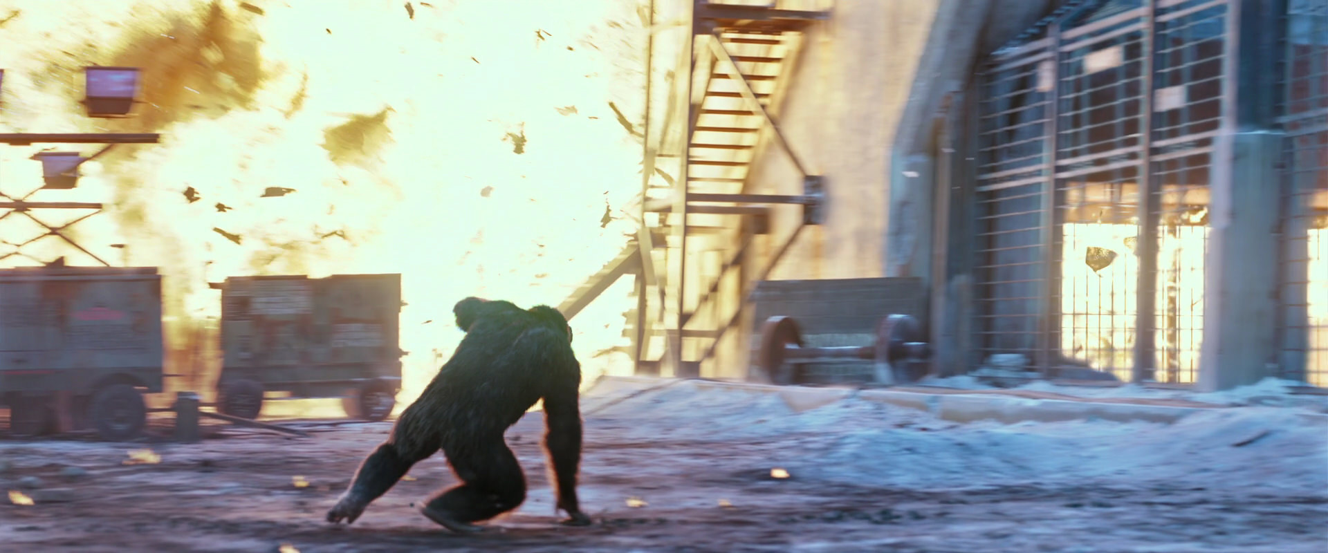 War for the Planet of the Apes (2017) movie still 14431
