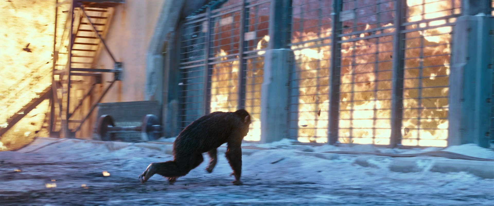 War for the Planet of the Apes (2017) screencap 14433