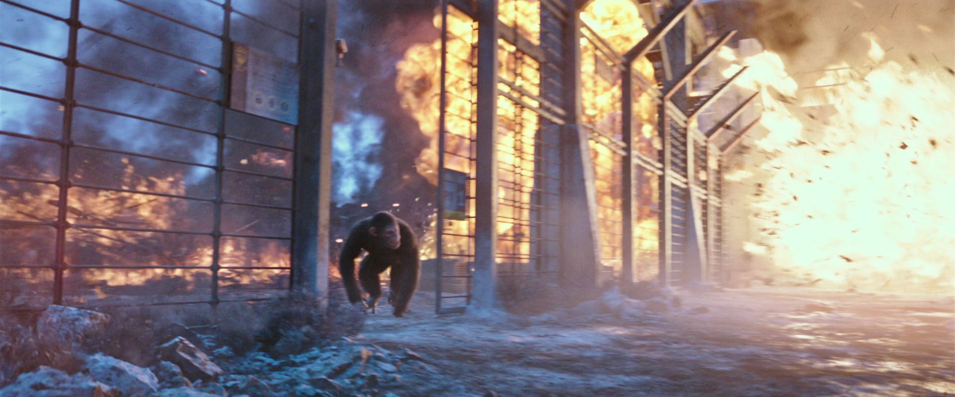 War for the Planet of the Apes (2017) movie still 14434