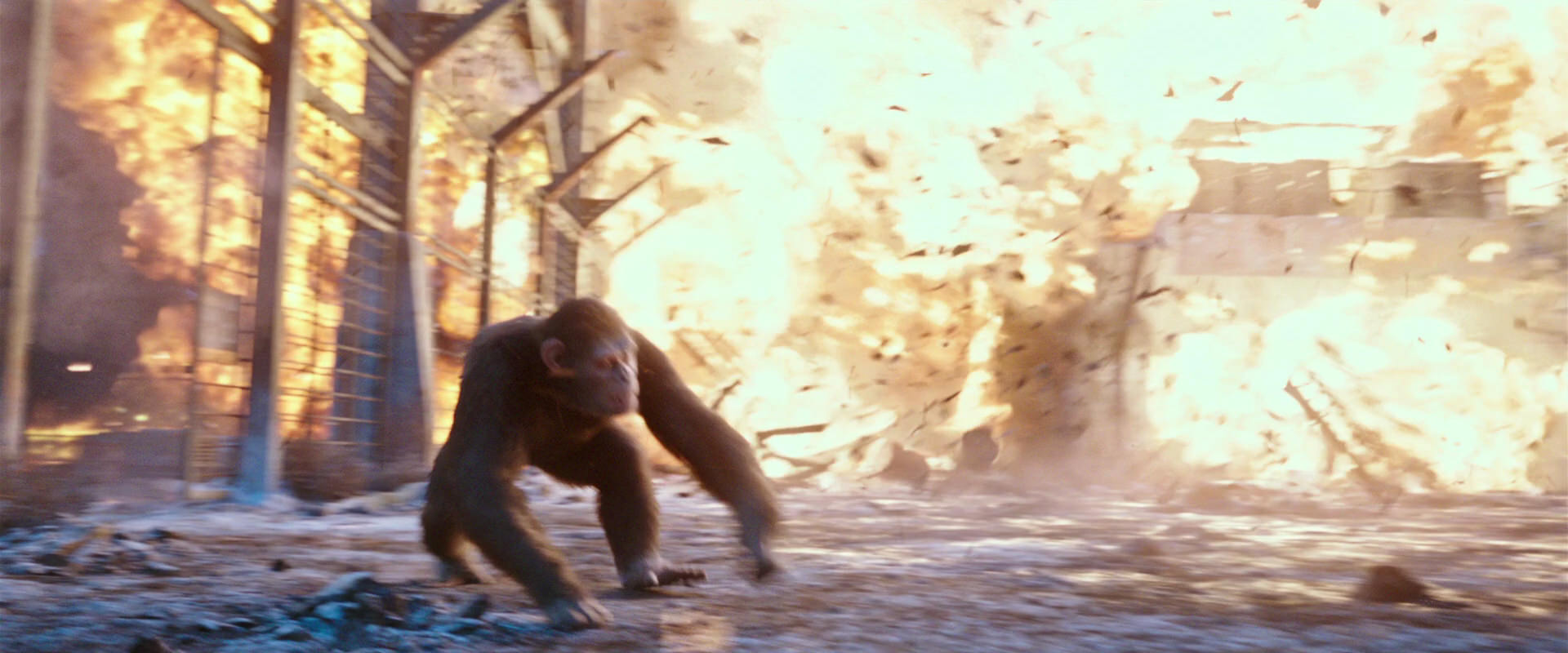 War for the Planet of the Apes (2017) screencap 14436