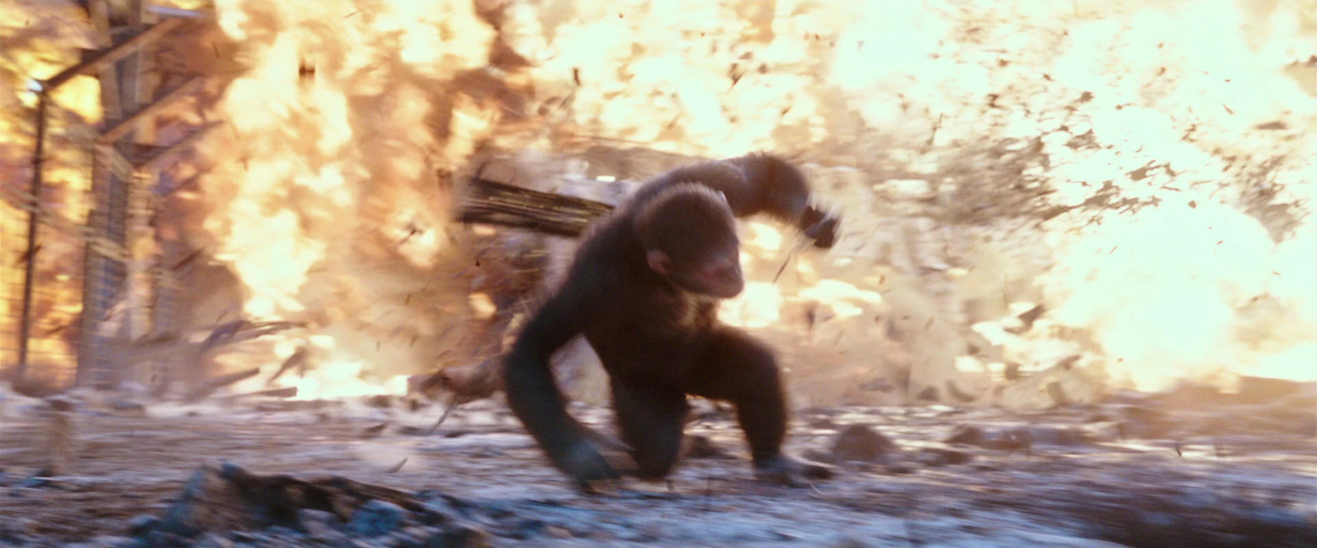 War for the Planet of the Apes (2017) movie still 14437