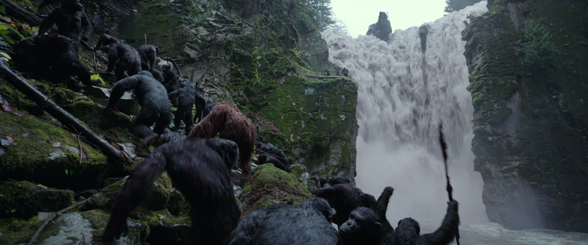 War for the Planet of the Apes (2017) movie still 1444