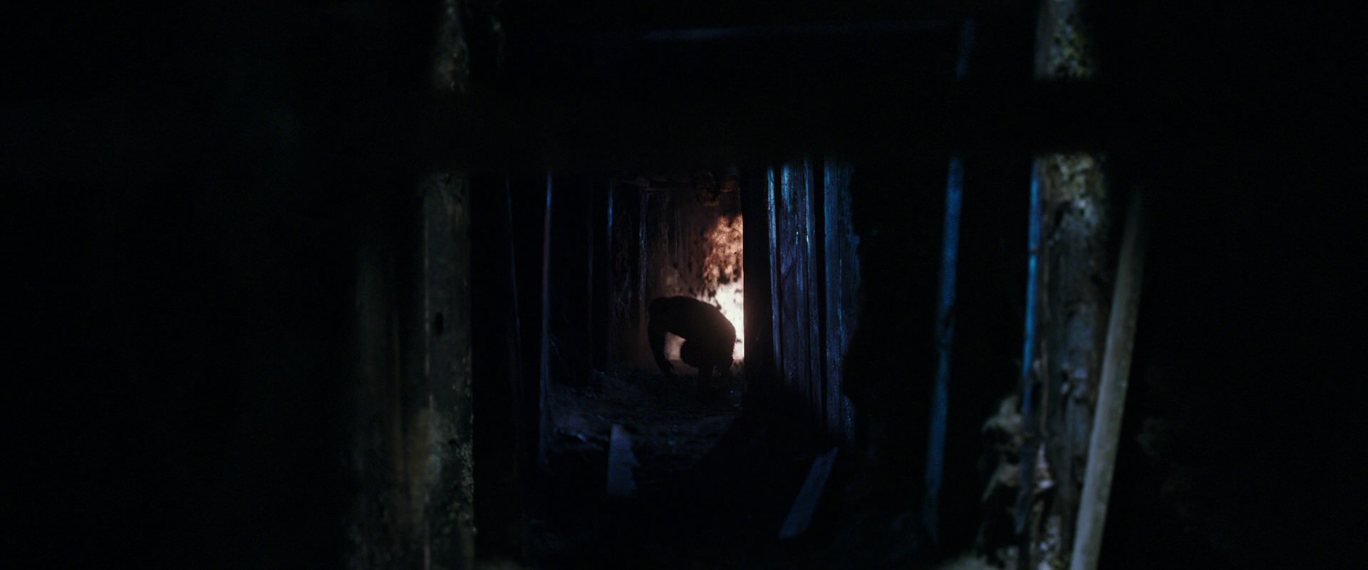 War for the Planet of the Apes (2017) screencap 14445