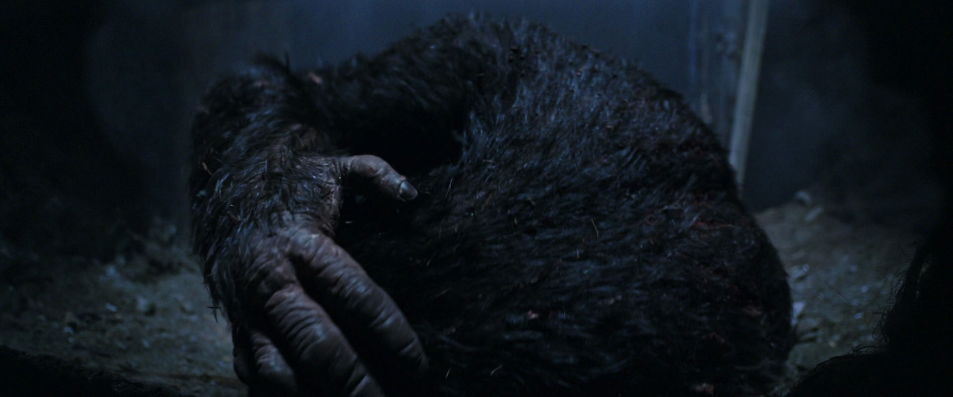 War for the Planet of the Apes (2017) movie still 14449