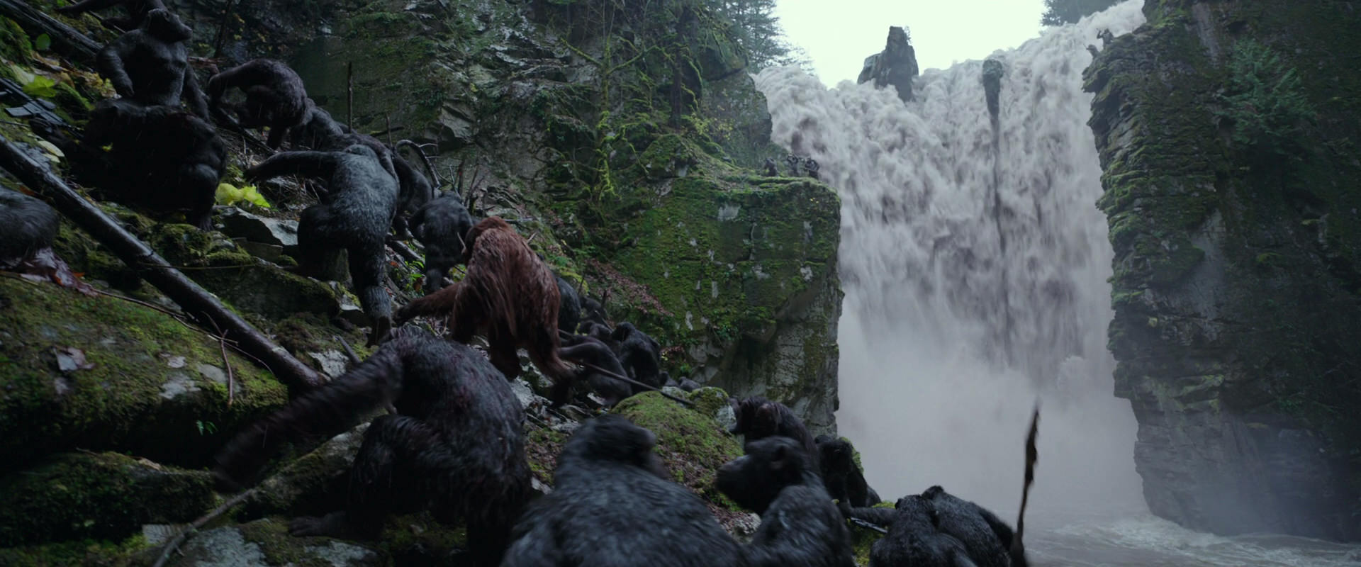 War for the Planet of the Apes (2017) HD screenshot 1445