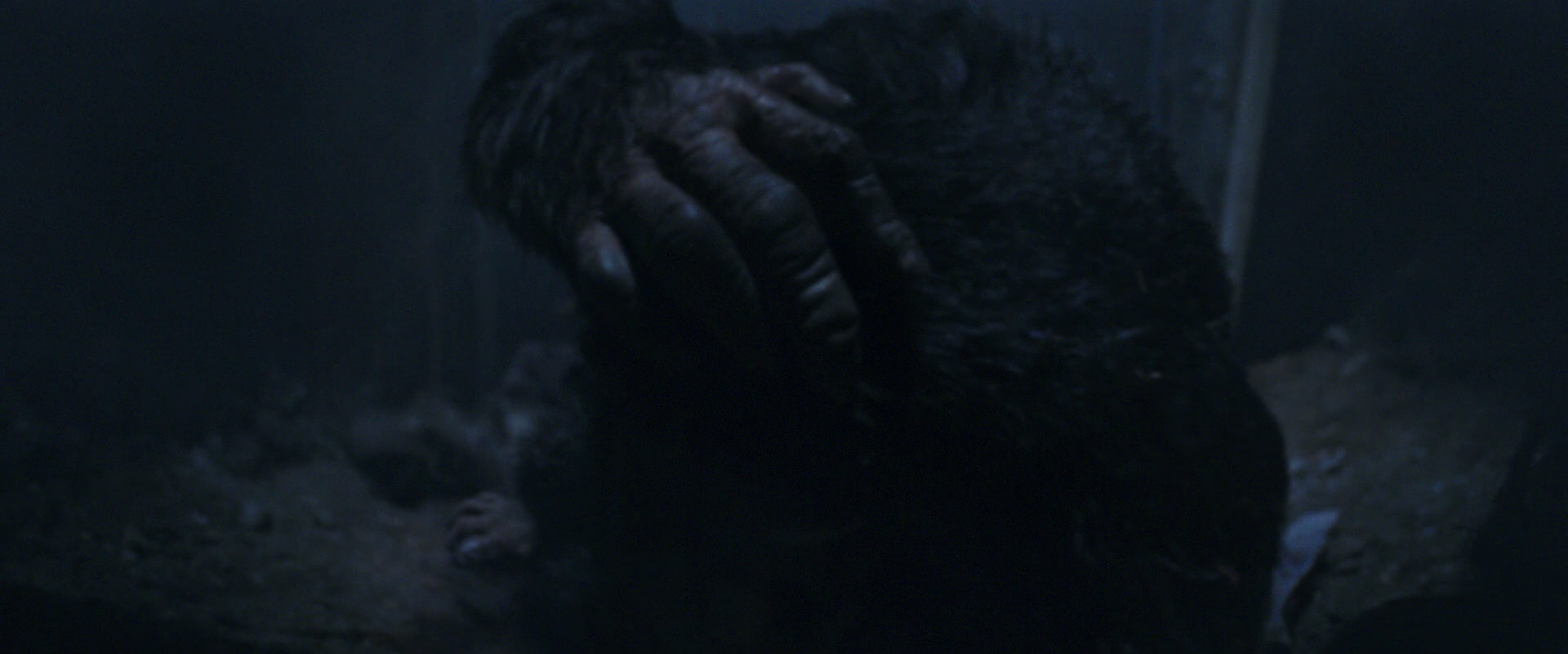 War for the Planet of the Apes (2017) HD screenshot 14450